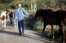 USA-New Mexico-Gila Cowgirl Camp